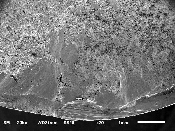 斷口A區(qū)形貌 斷口A區(qū)形貌